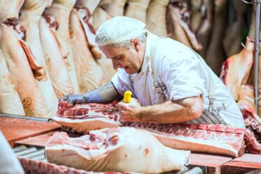 Metzger zerlegt eine Schweinehälfte in einer professionellen Fleischerei, steht mit scharfem Messer am Schlachttisch, trägt Schutzkleidung und Schürze, frisch geschlachtetes Schwein, handwerkliche Fleischverarbeitung, Metzgerei-Arbeitsplatz, traditionelle Fleischzerlegung.