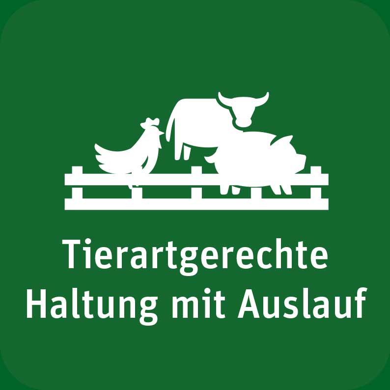 icon-tierartgherechte-haltung-mit-auslauf