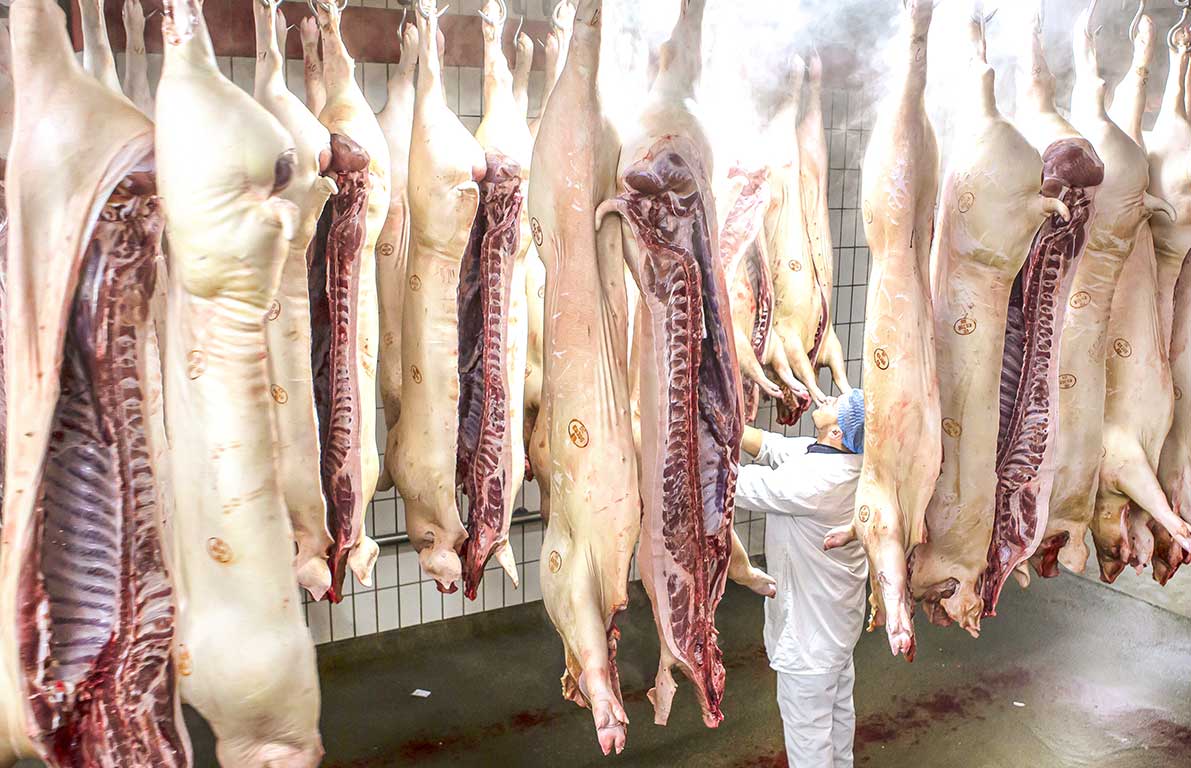 Metzgermeister blickt positiv in die Kamera