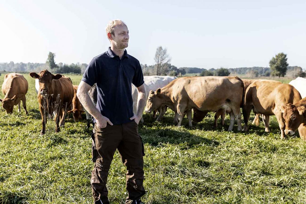 Landwirt schaut entspannt in die Weidelandschaft umringt von Weiderindern